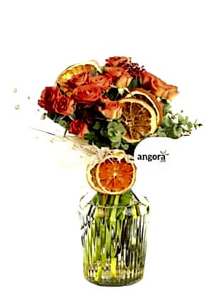 Orange Roses
